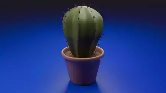Cactus in a clay pot