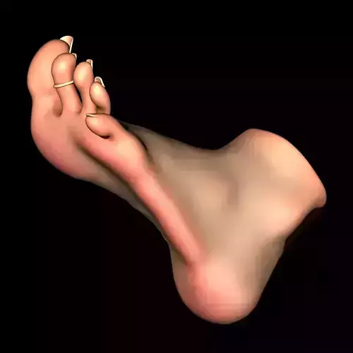 REAL SIZE FEMALE FOOT - MERGED MODEL 23 CM 3D print model