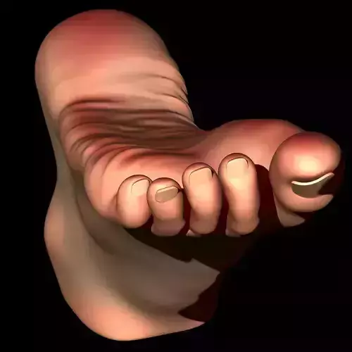 REAL SIZE FEMALE FOOT - MERGED MODEL 23 CM 3D print model