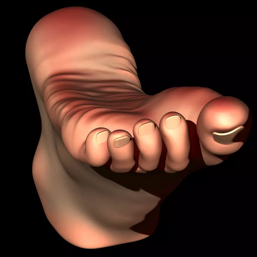 REAL SIZE FEMALE FOOT - MERGED MODEL 23 CM 3D print model 3D print model