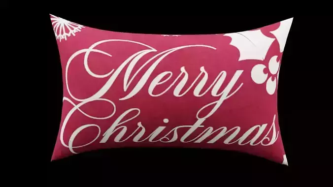Christmas Cushion