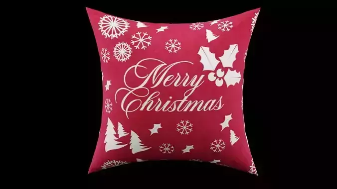 Christmas Cushion
