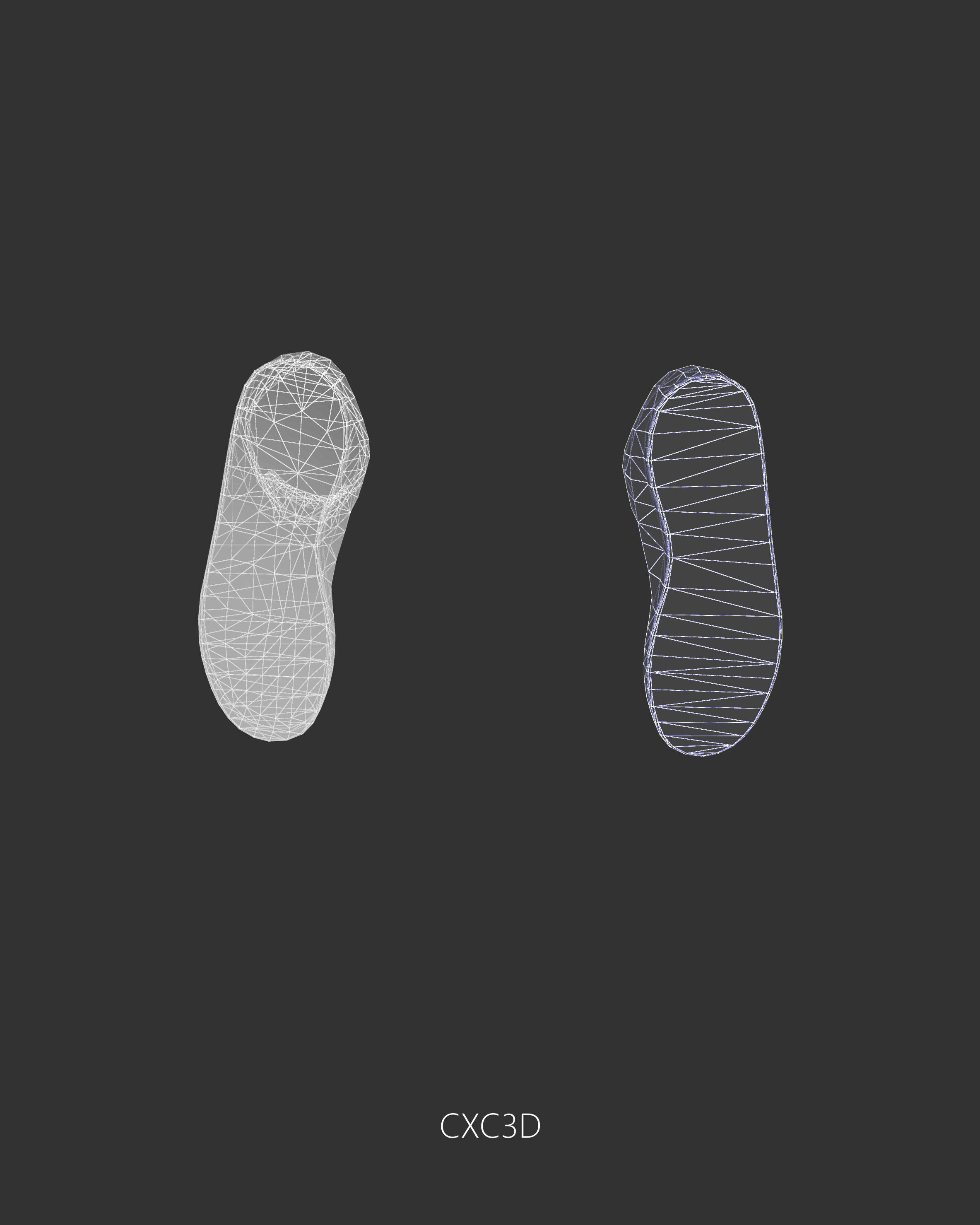 DC Shoes Sneakers Trainers Free low-poly 3D model_13