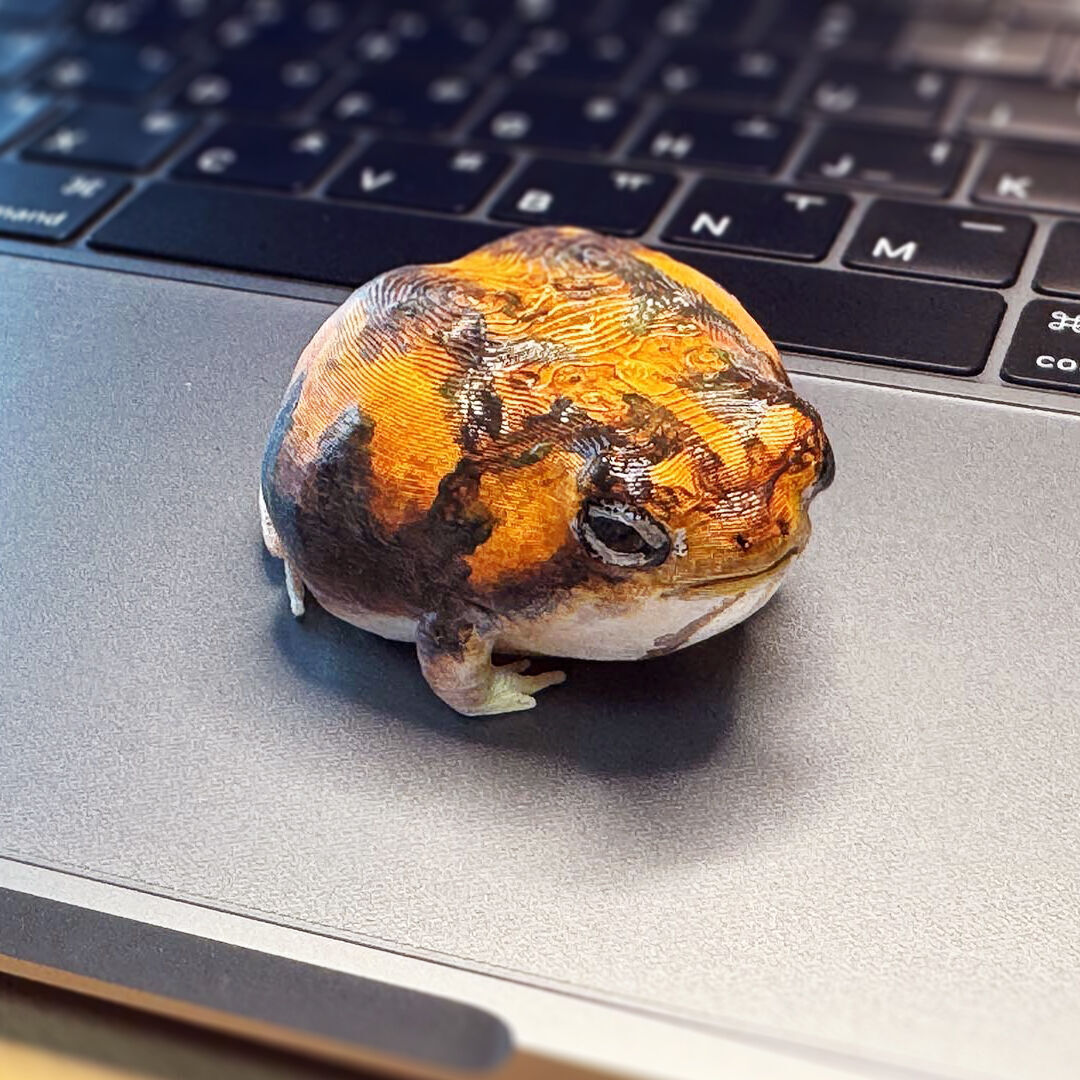 Cute Desert Rain Frog 3D print model_3