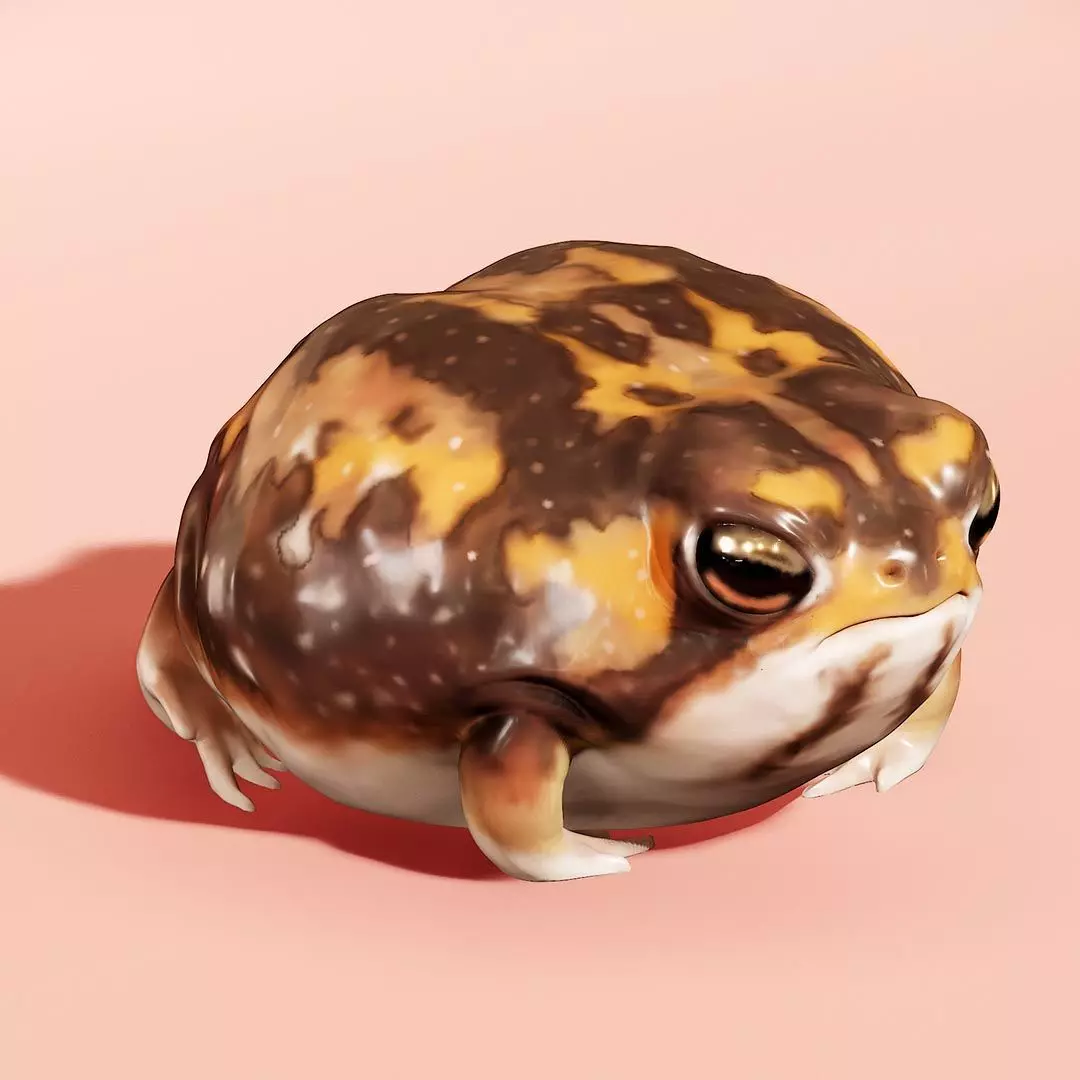 Cute Desert Rain Frog 3D print model_0