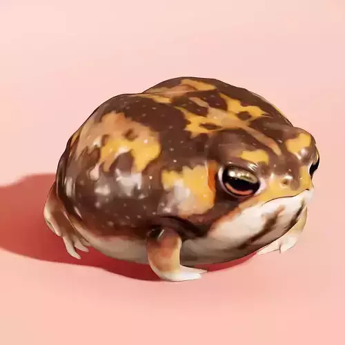 Cute Desert Rain Frog 3D print model