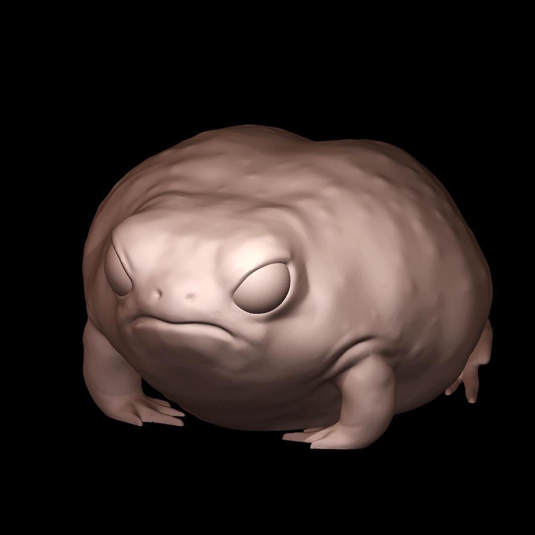 Cute Desert Rain Frog 3D print model_1