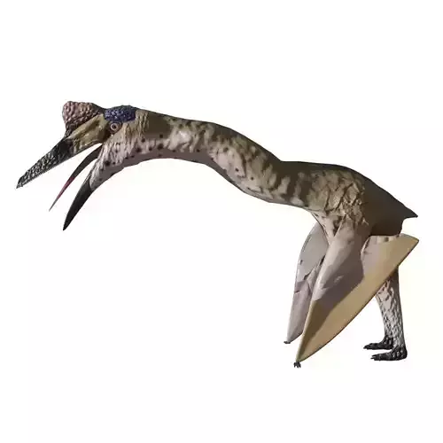 Quetzalcoatlus Simple Quetzalcoatlus rigged 3D model