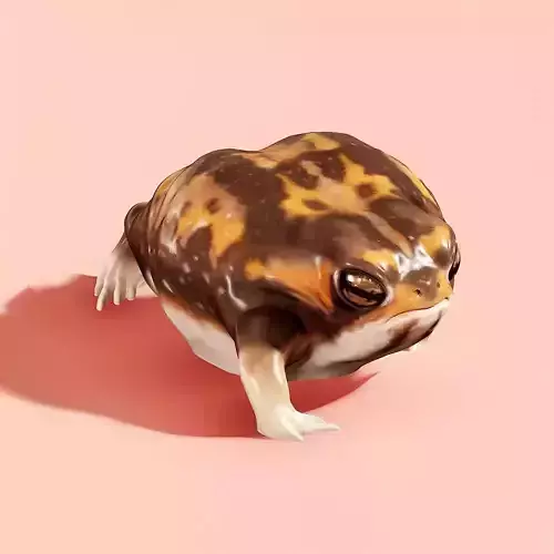 Running Desert Rain Frog