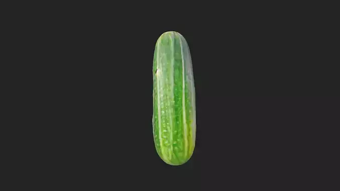 cucumber 3D model 001 Low-poly 3D model