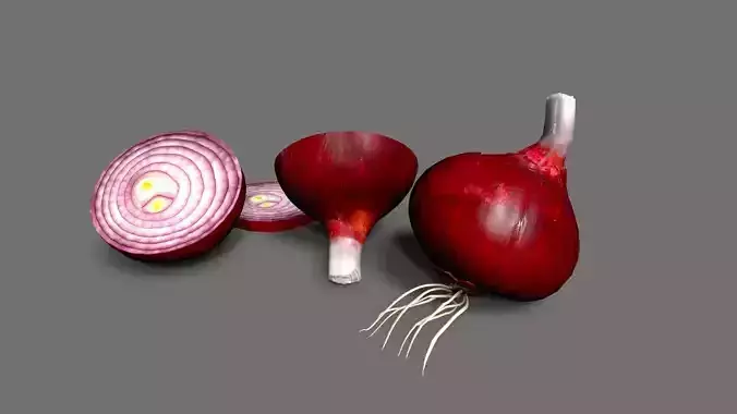 onion  Low-poly 3D model