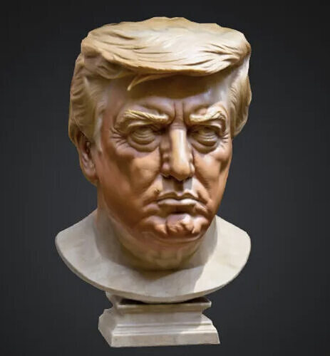 Buste de Trump 3D print model