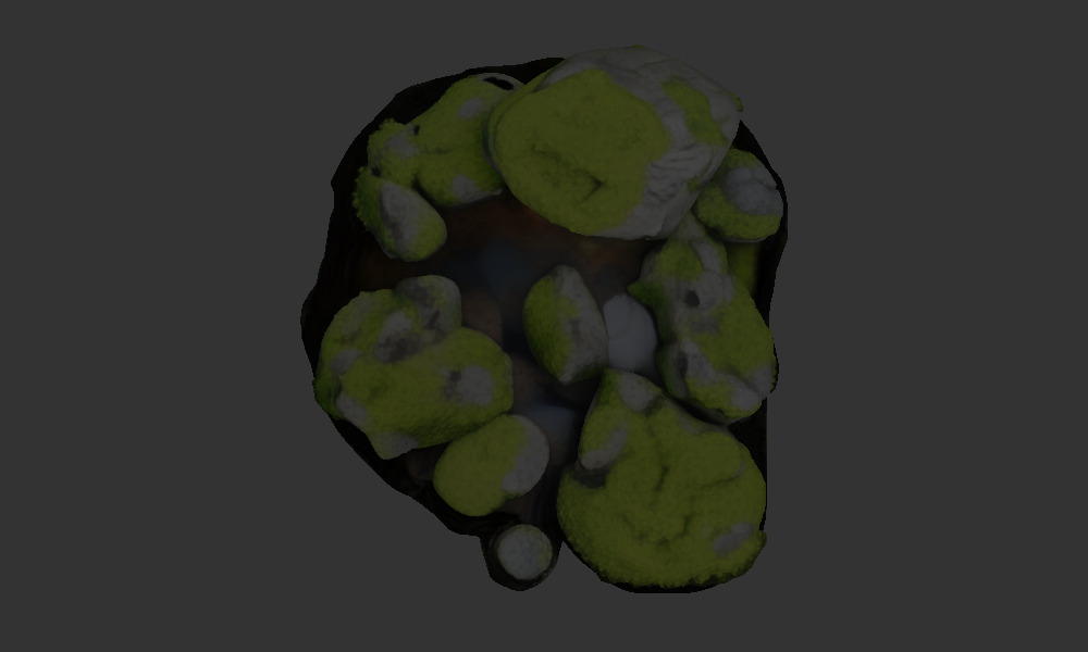 Algae covered rocks  in a stream 3D model_6