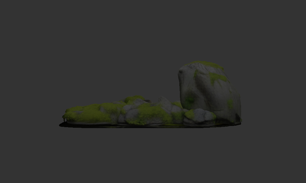 Algae covered rocks  in a stream 3D model_4