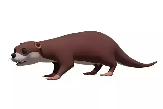 Cartoon Otter Low-poly 3D model