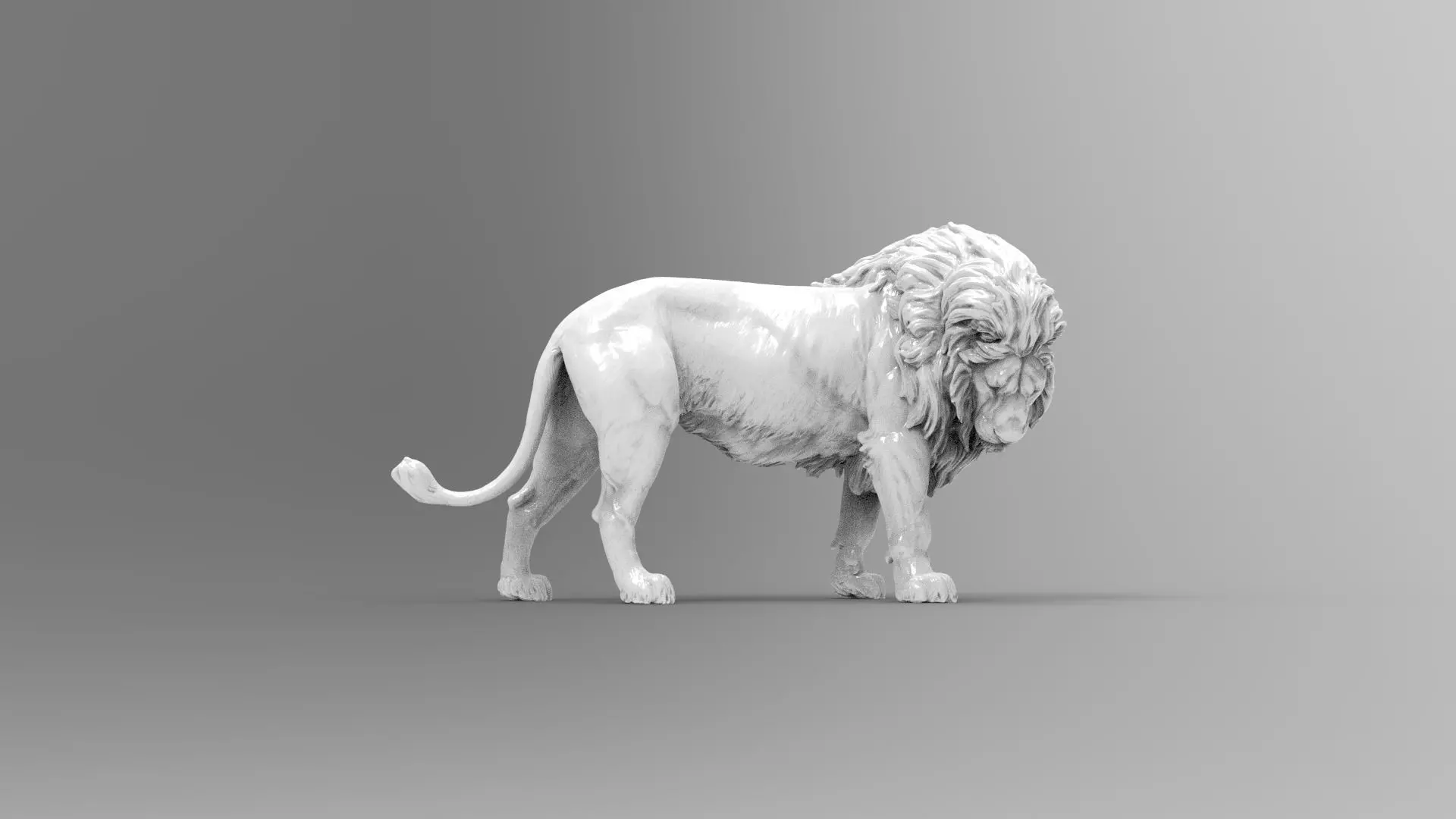 lion 7 3D model_0