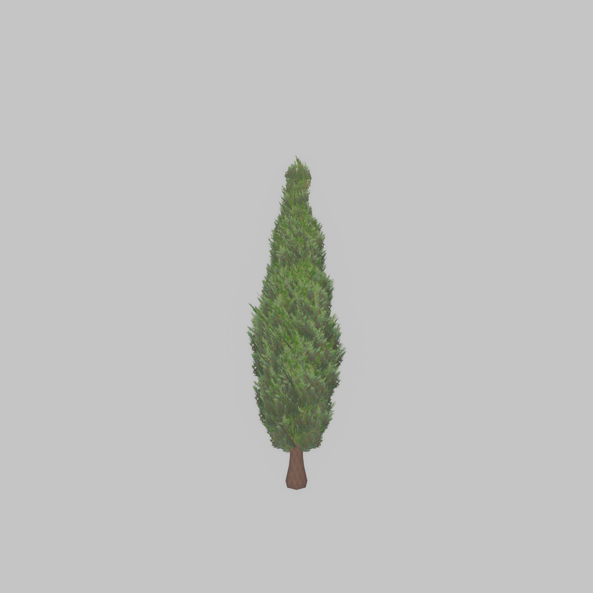 Mock cypress version-1 500mm Low-poly 3D model_25