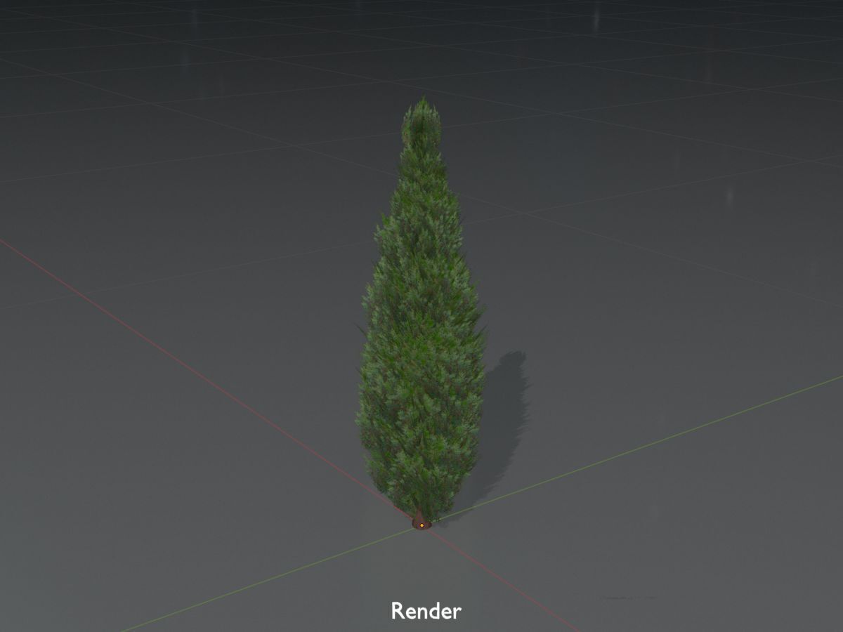 Mock cypress version-1 500mm Low-poly 3D model_16