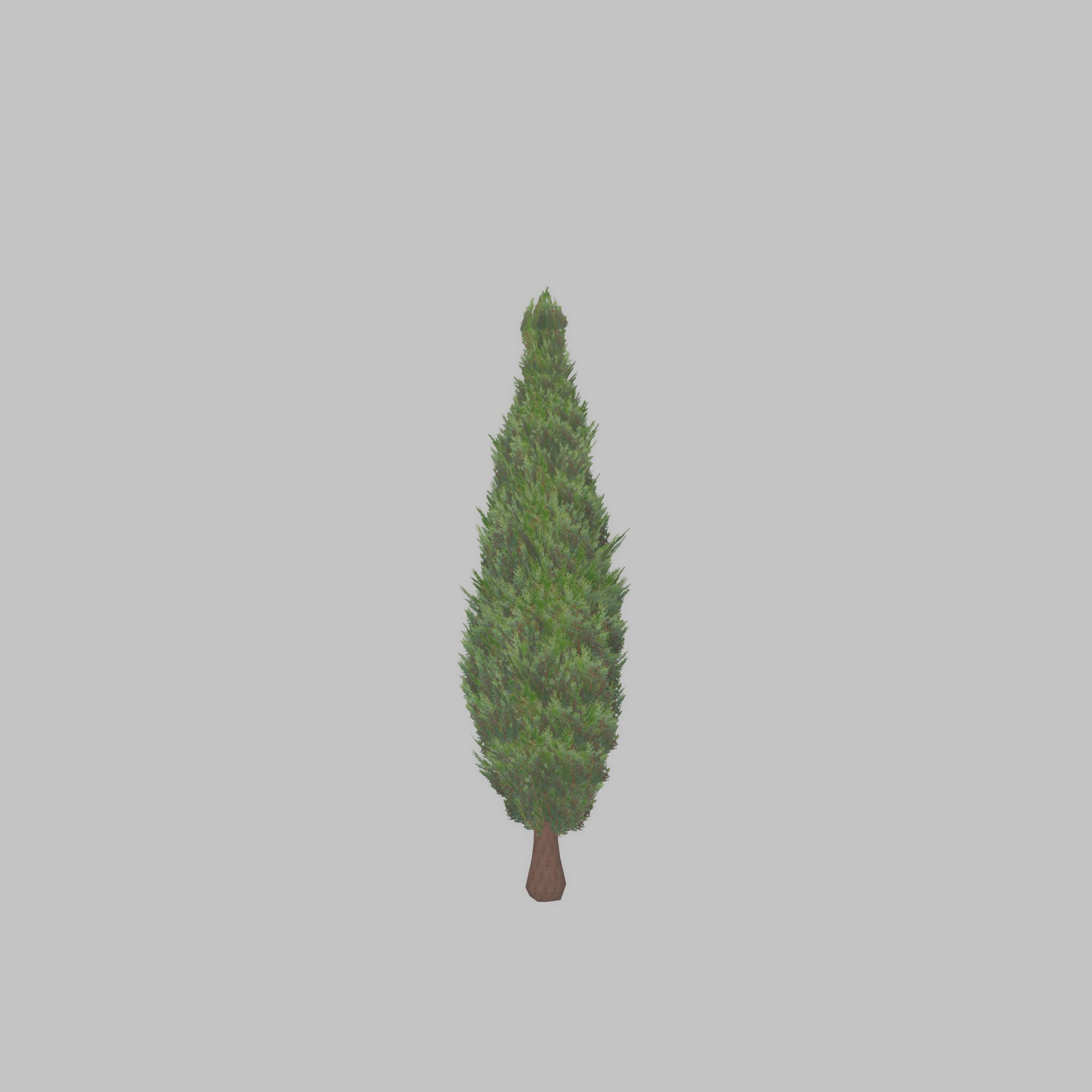 Mock cypress version-1 500mm Low-poly 3D model_39