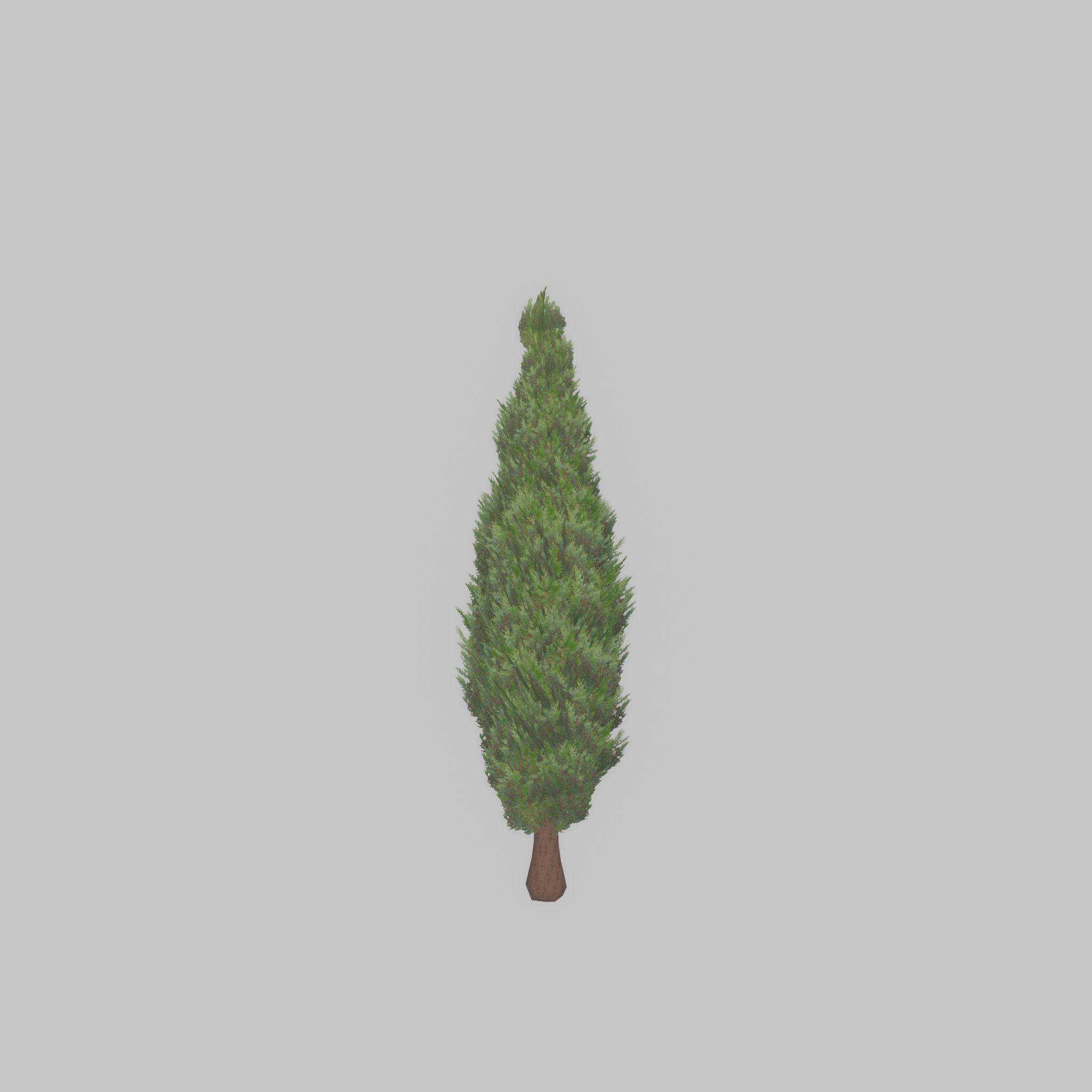 Mock cypress version-1 500mm Low-poly 3D model_36