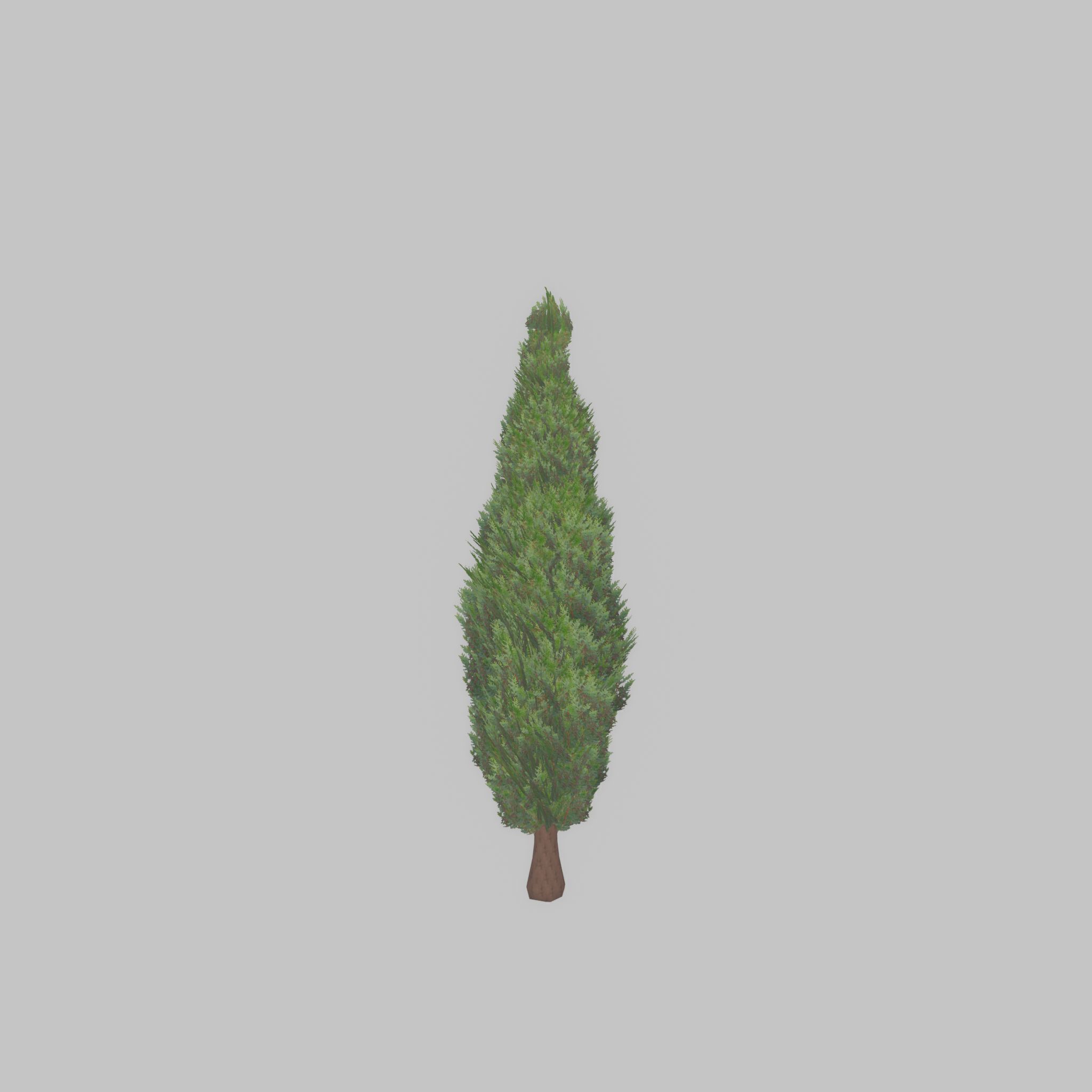 Mock cypress version-1 500mm Low-poly 3D model_24