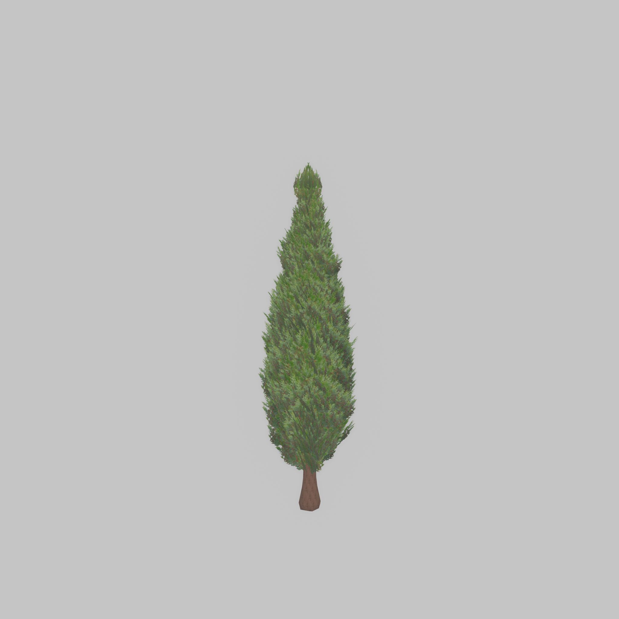 Mock cypress version-1 500mm Low-poly 3D model_30