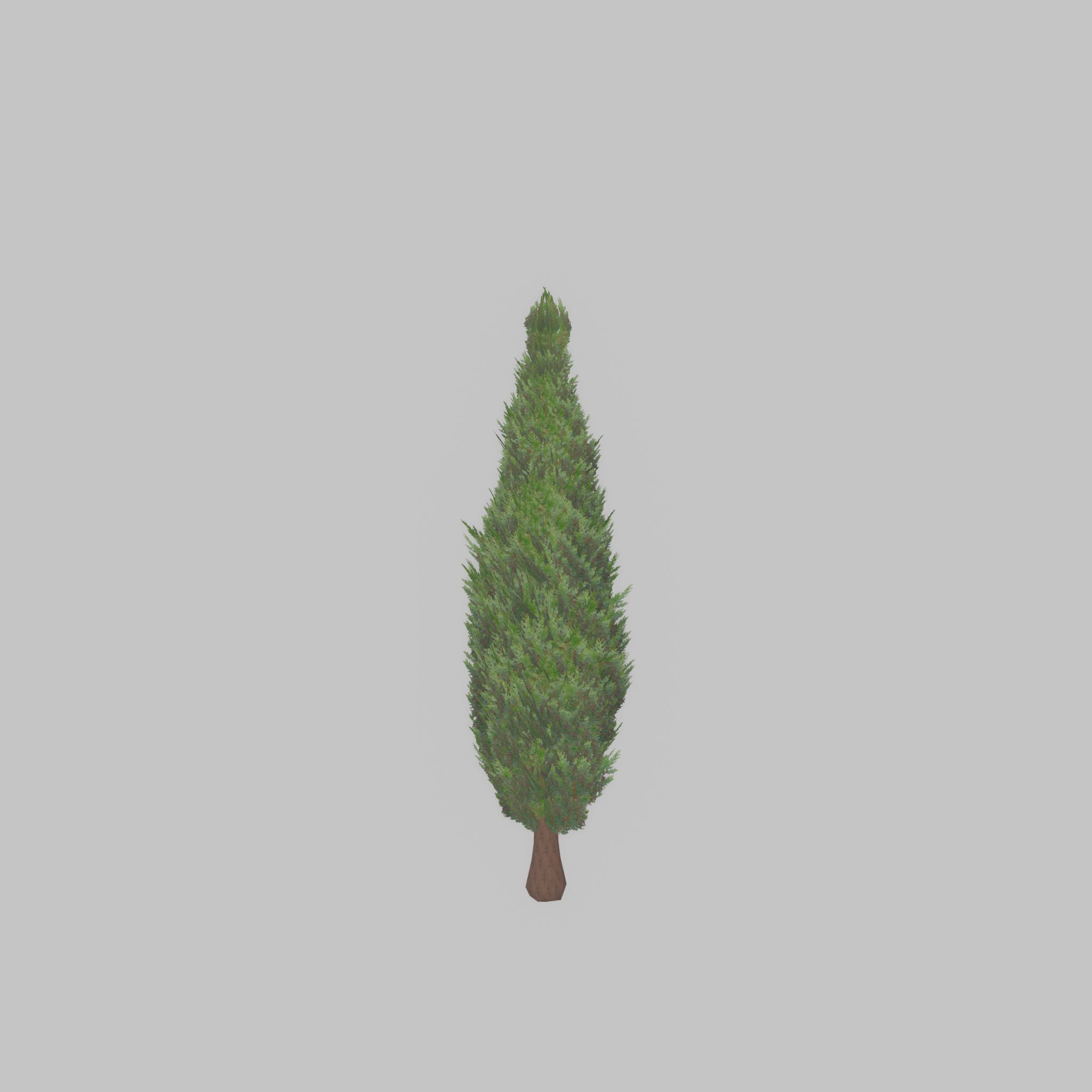 Mock cypress version-1 500mm Low-poly 3D model_27