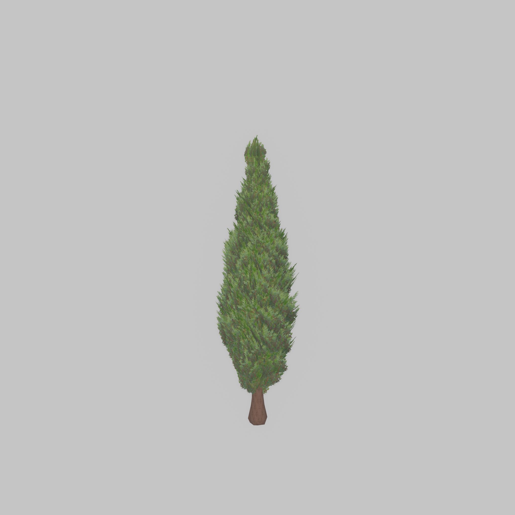 Mock cypress version-1 500mm Low-poly 3D model_34