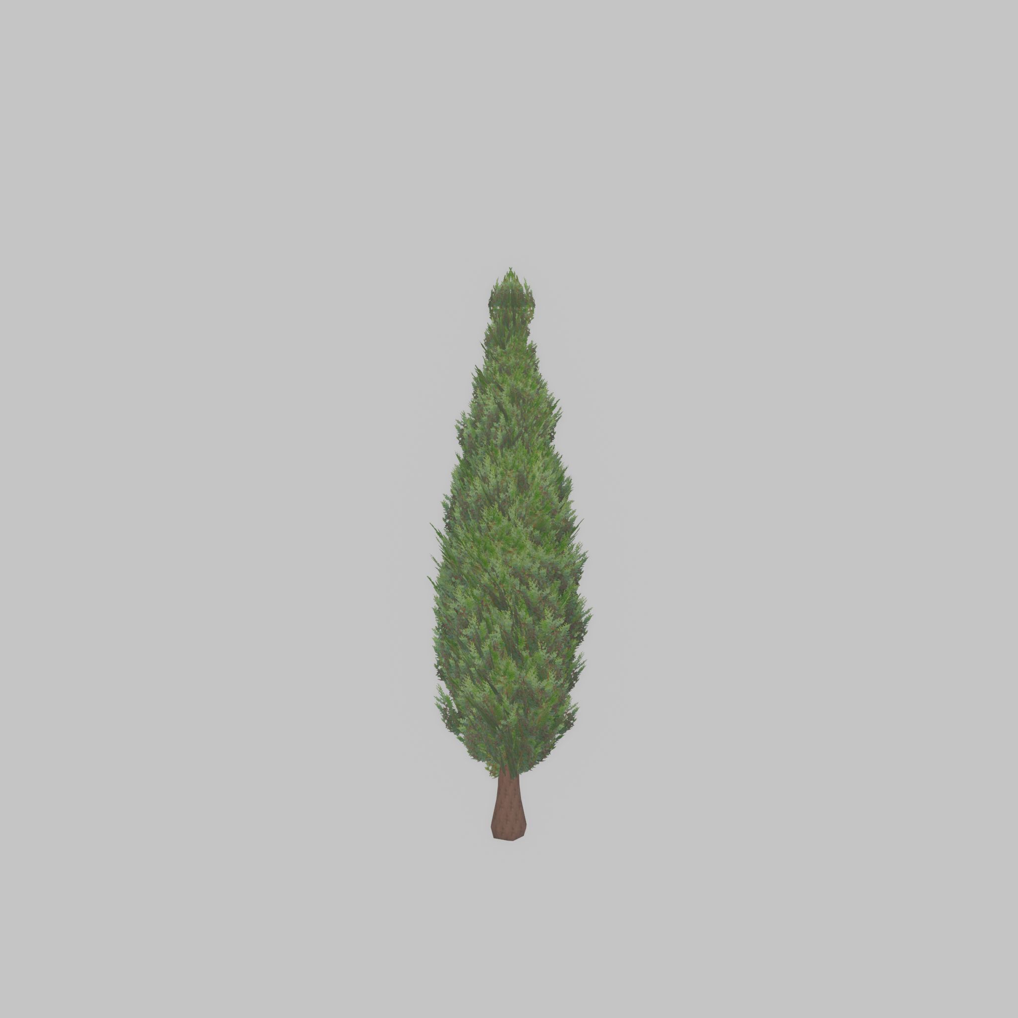 Mock cypress version-1 500mm Low-poly 3D model_42