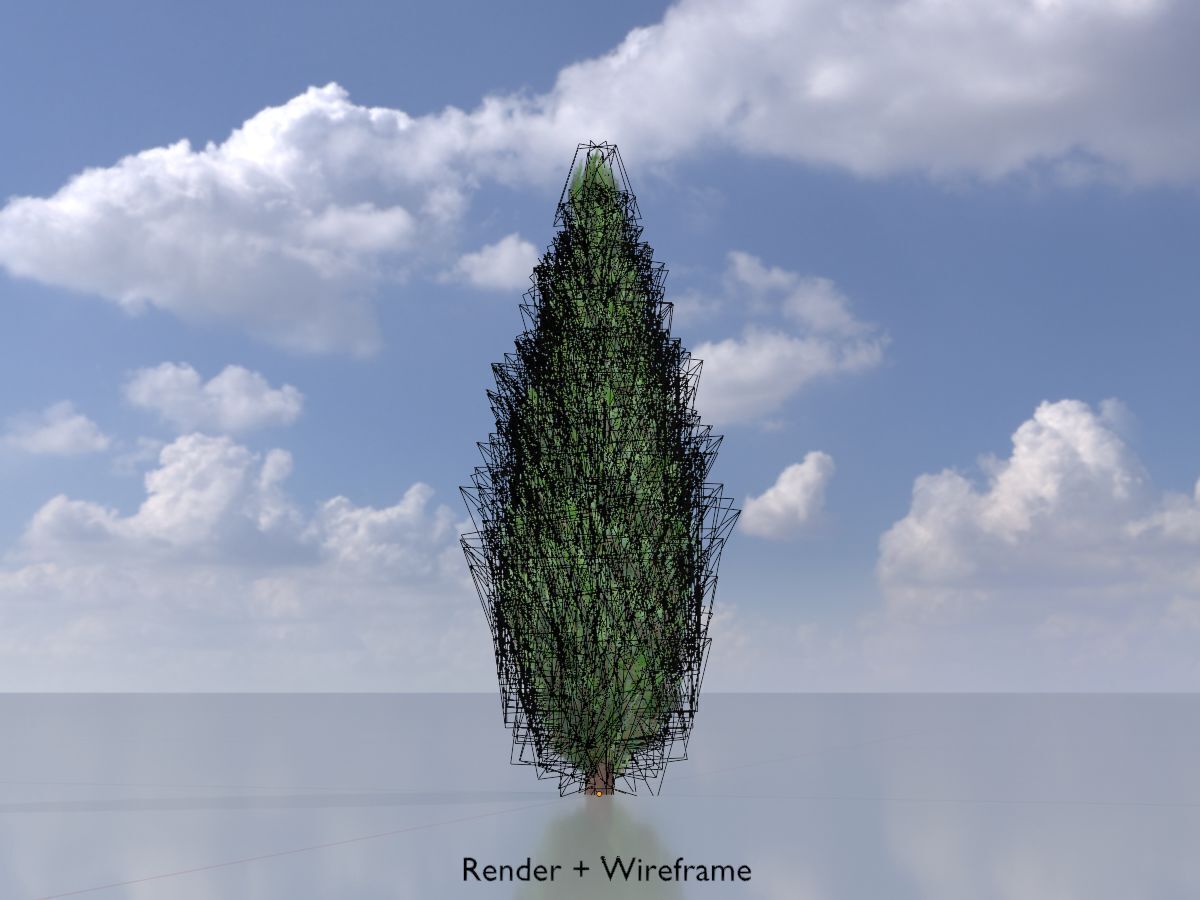 Mock cypress version-1 500mm Low-poly 3D model_6