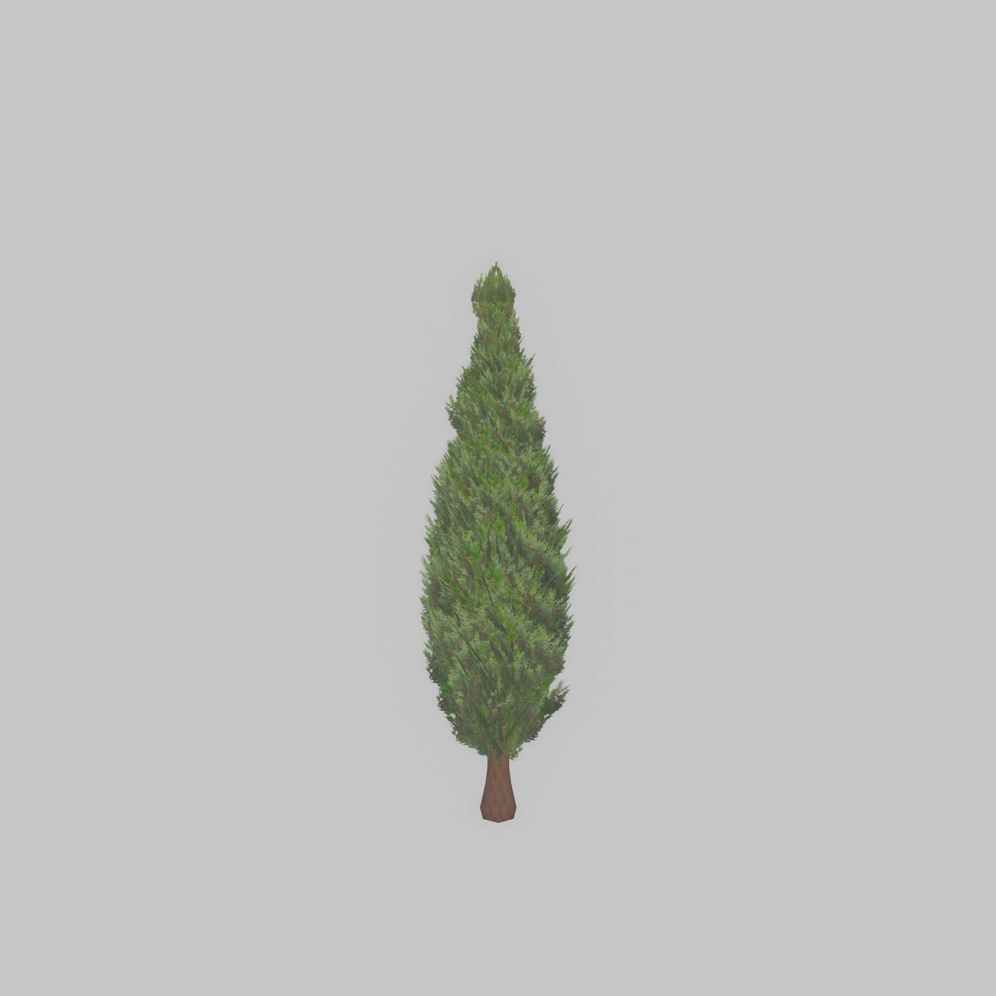 Mock cypress version-1 500mm Low-poly 3D model_31