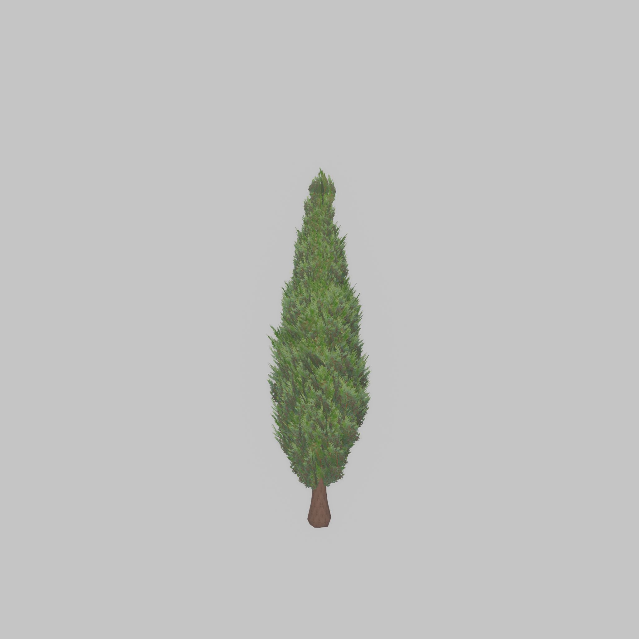 Mock cypress version-1 500mm Low-poly 3D model_45