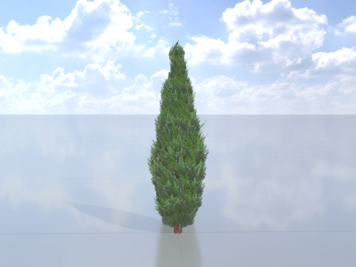 Mock cypress version-1 500mm Low-poly 3D model_3