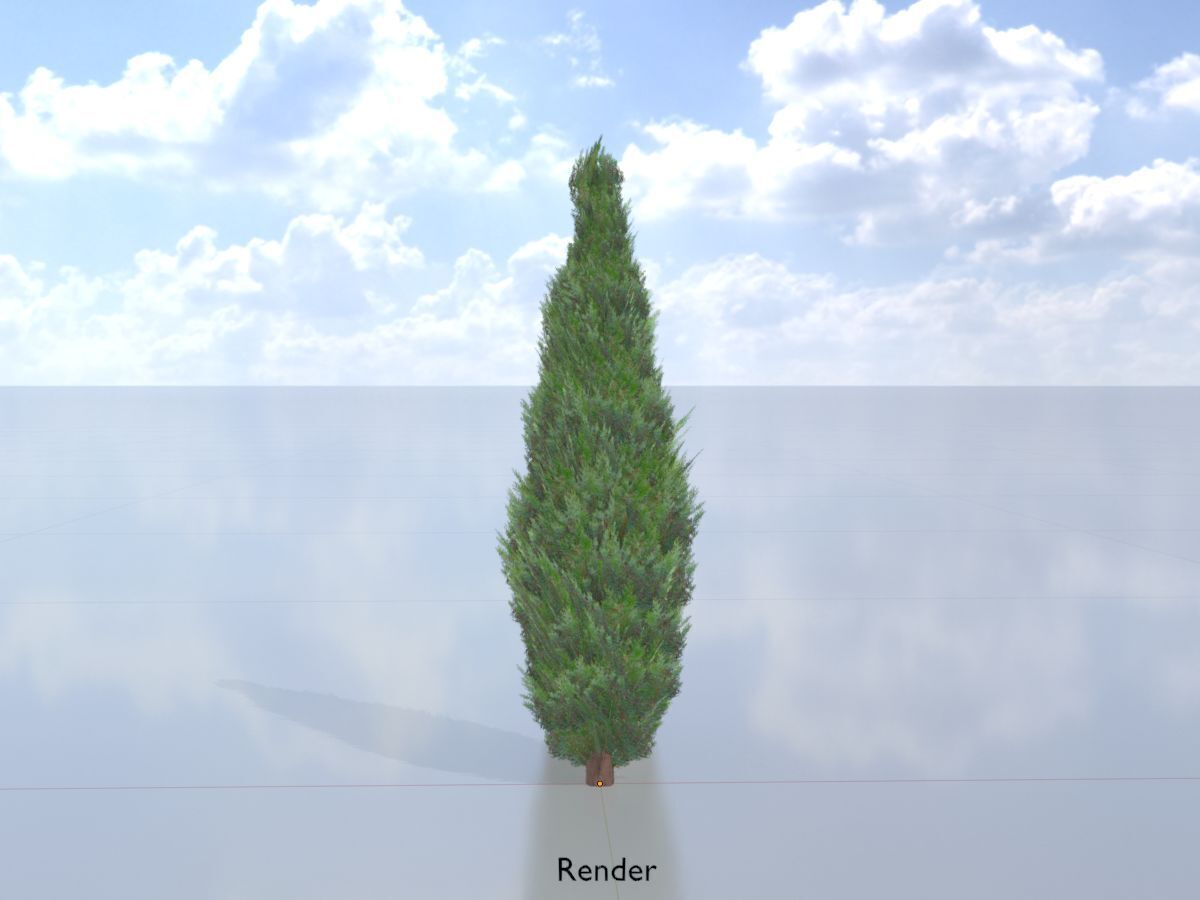 Mock cypress version-1 500mm Low-poly 3D model_15