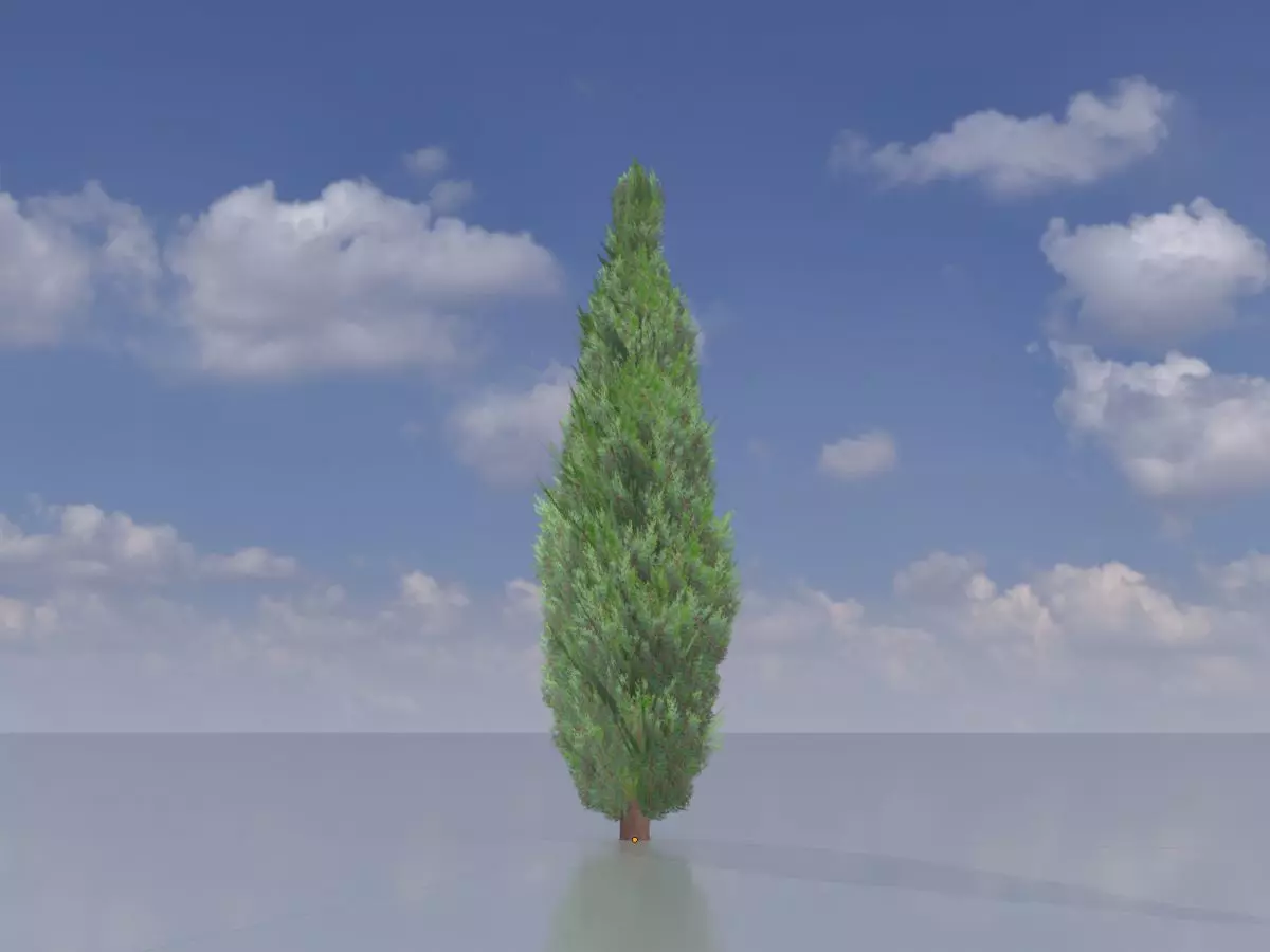 Mock cypress version-1 500mm Low-poly 3D model_0