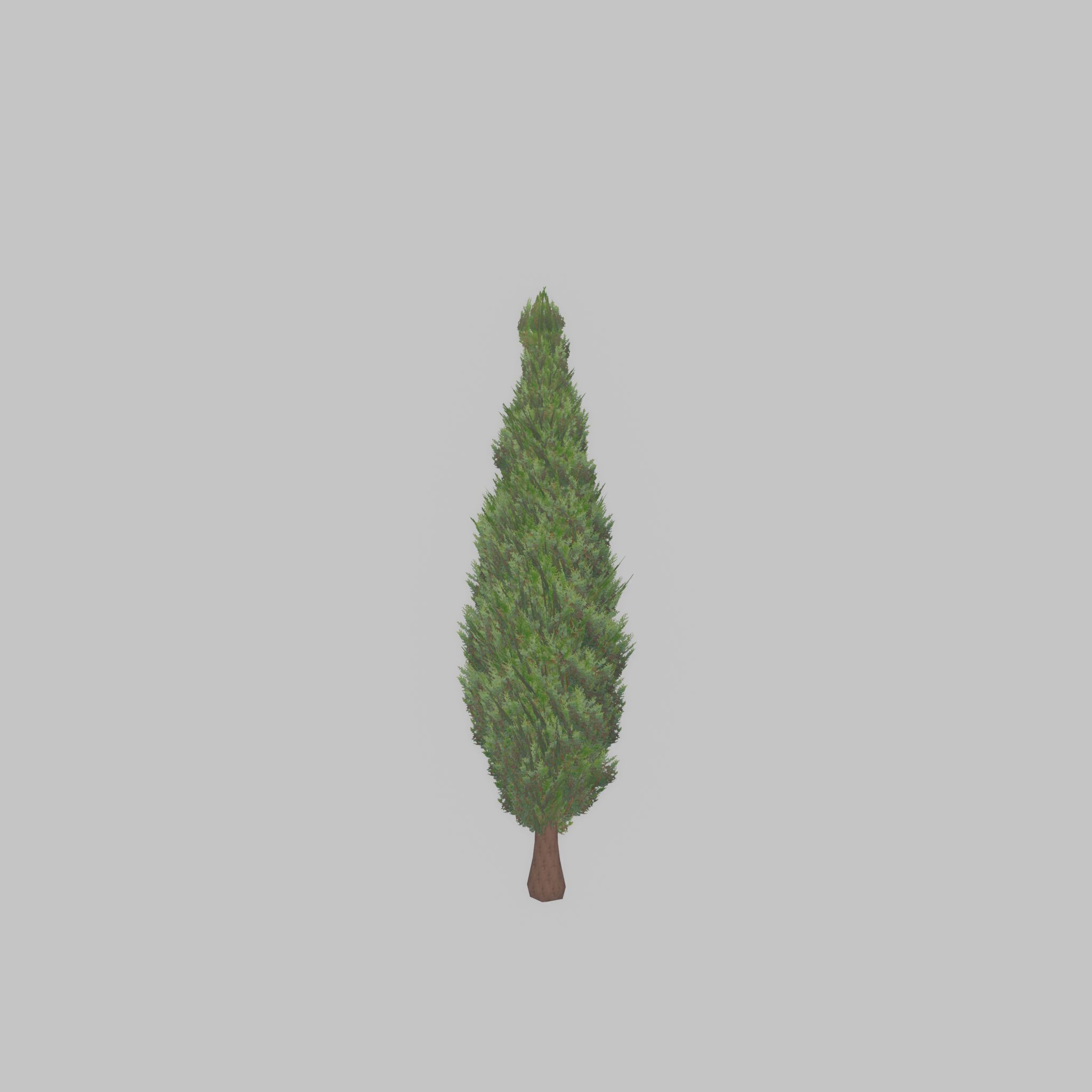 Mock cypress version-1 500mm Low-poly 3D model_33