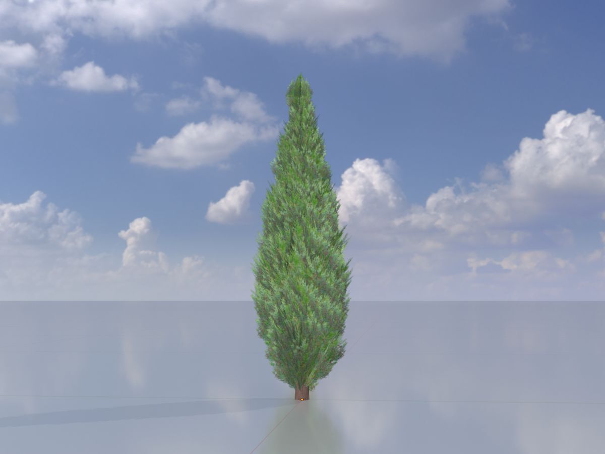 Mock cypress version-1 500mm Low-poly 3D model_2
