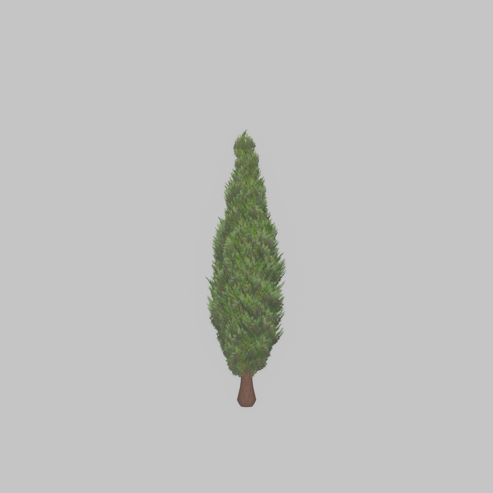 Mock cypress version-1 500mm Low-poly 3D model_35