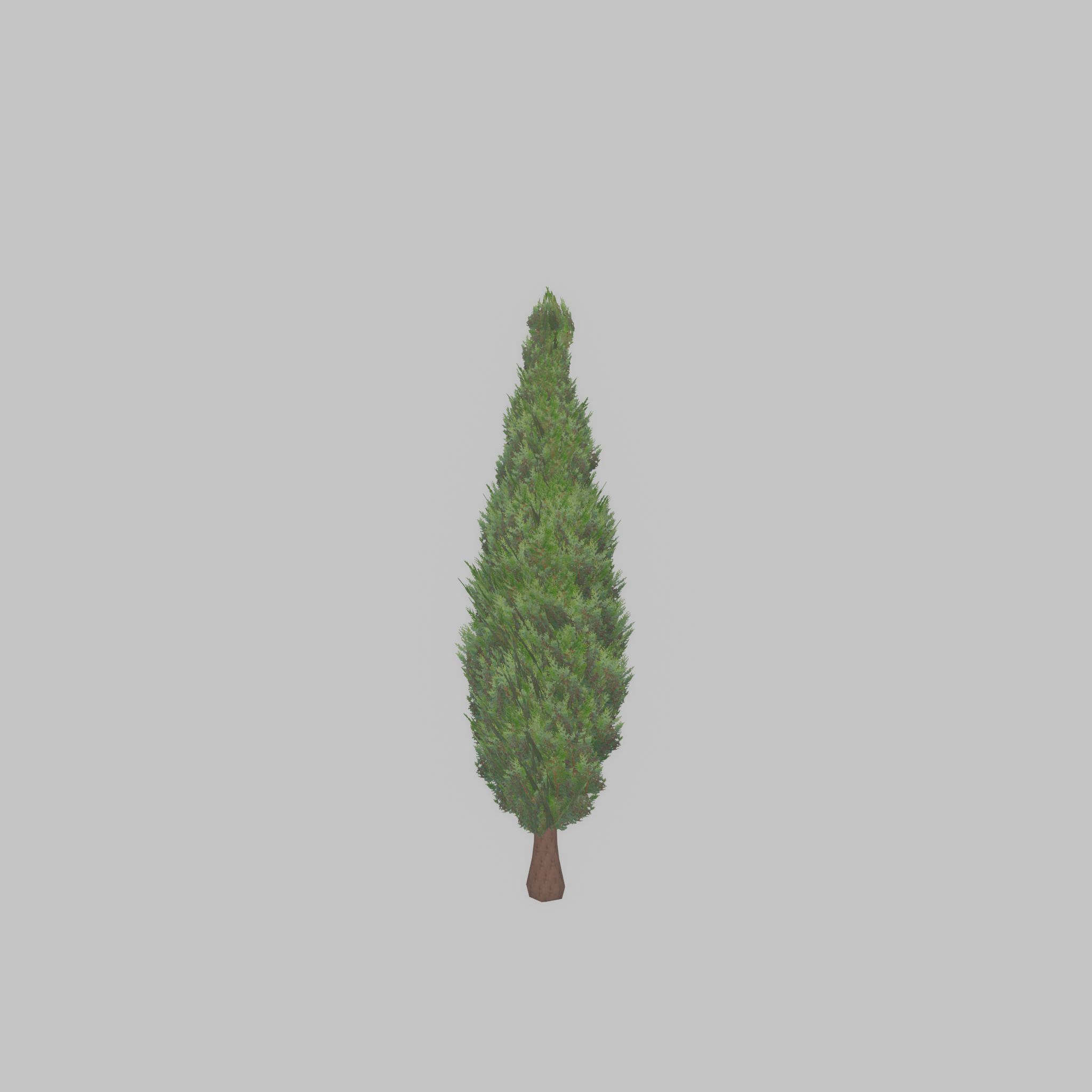 Mock cypress version-1 500mm Low-poly 3D model_44