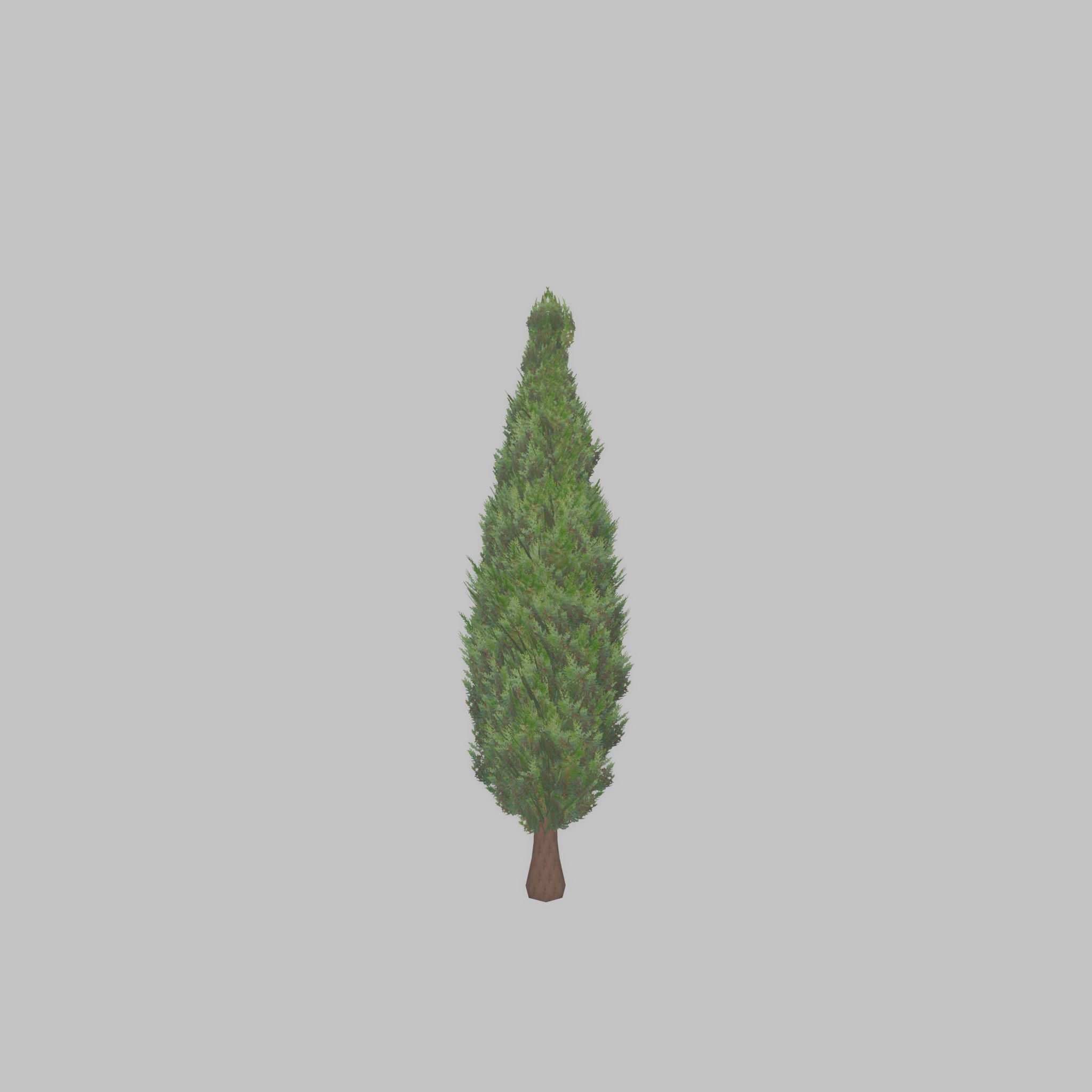 Mock cypress version-1 500mm Low-poly 3D model_43