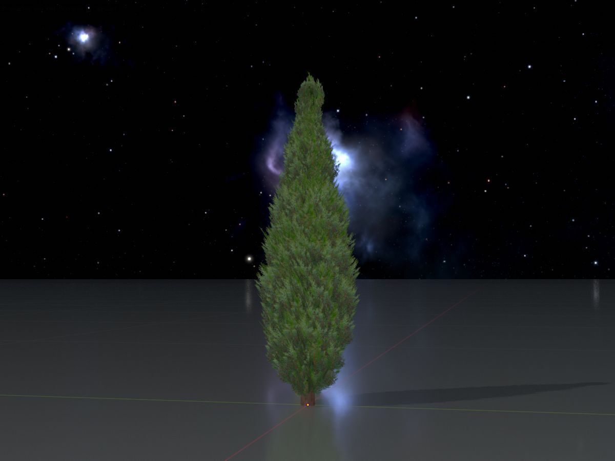 Mock cypress version-1 500mm Low-poly 3D model_4