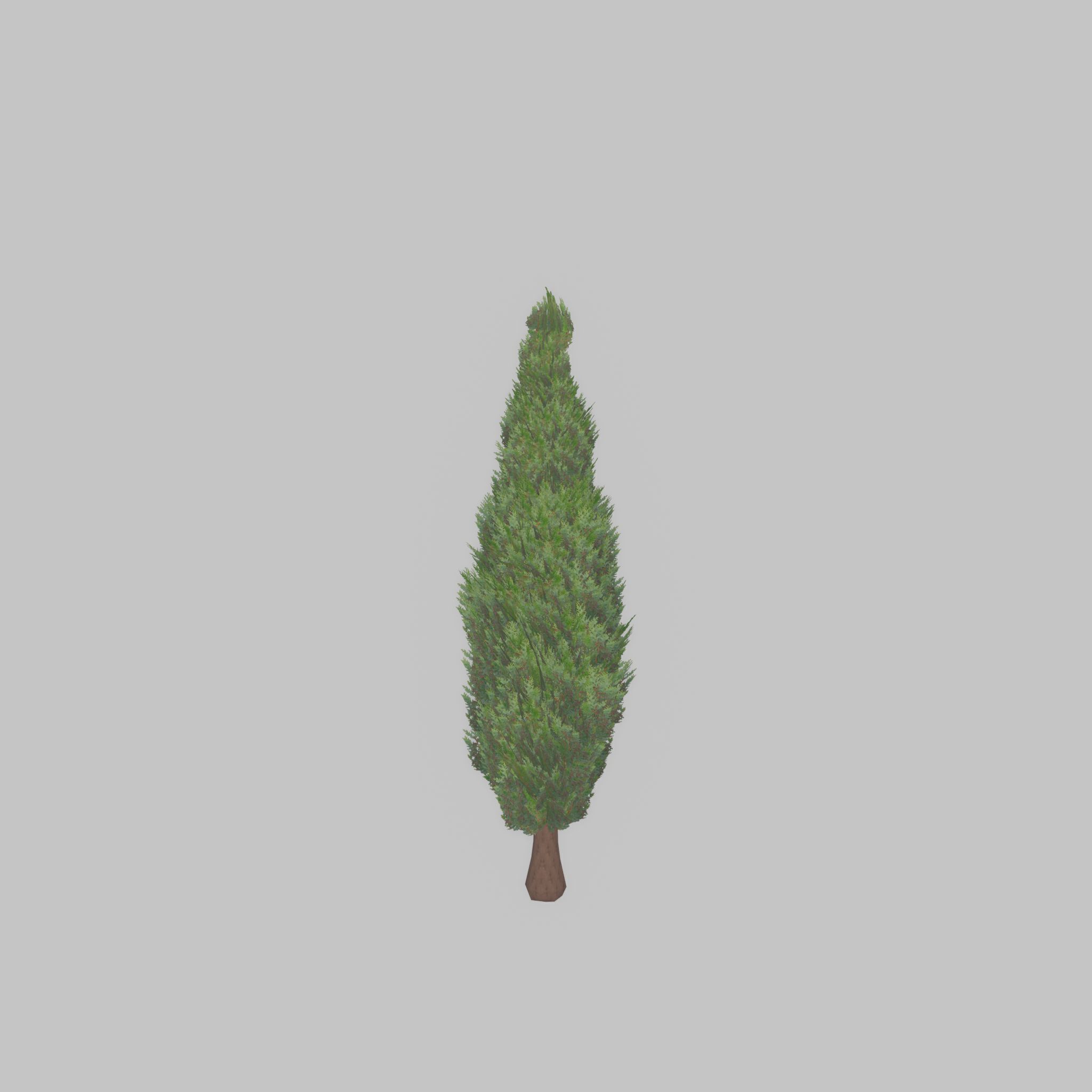 Mock cypress version-1 500mm Low-poly 3D model_23