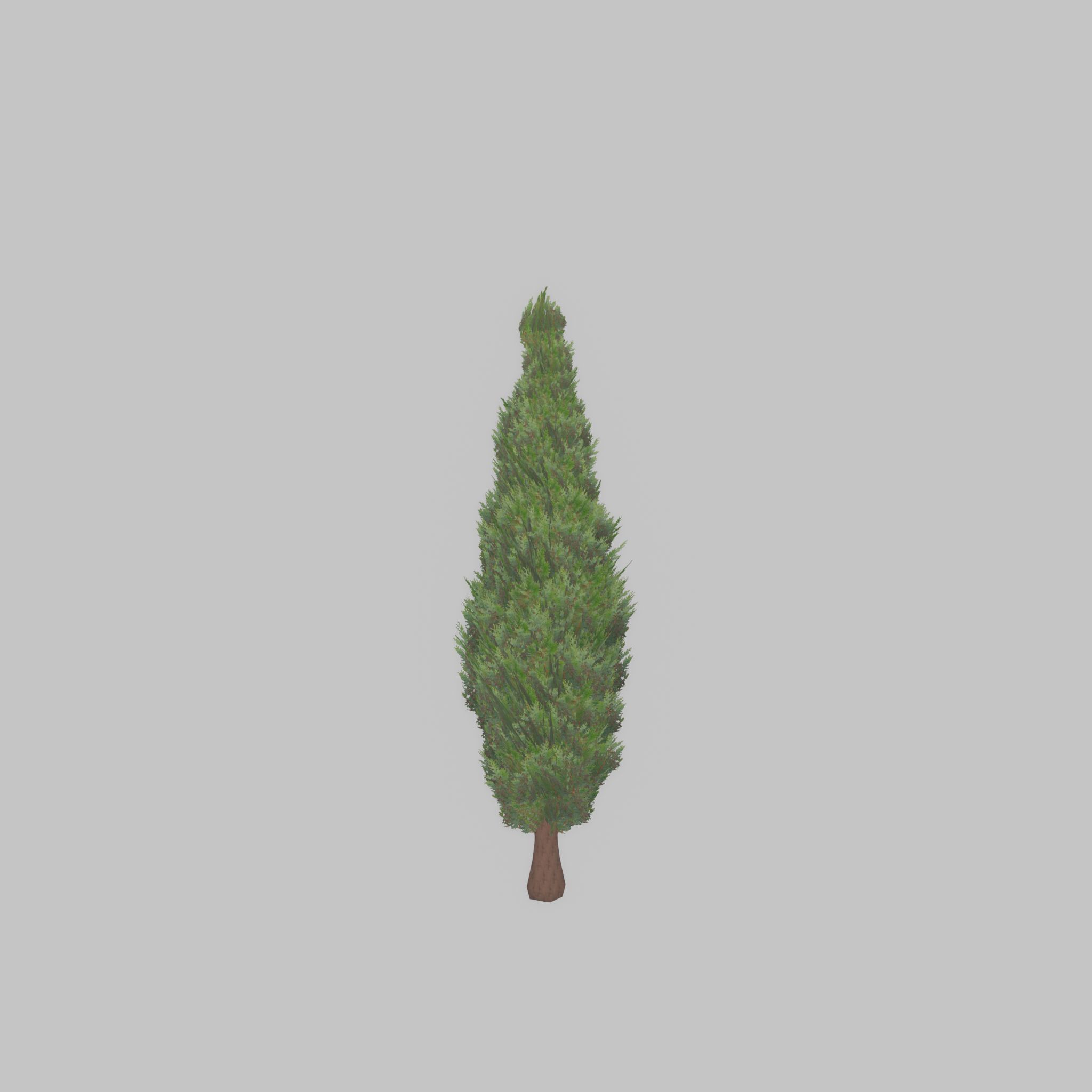 Mock cypress version-1 500mm Low-poly 3D model_37