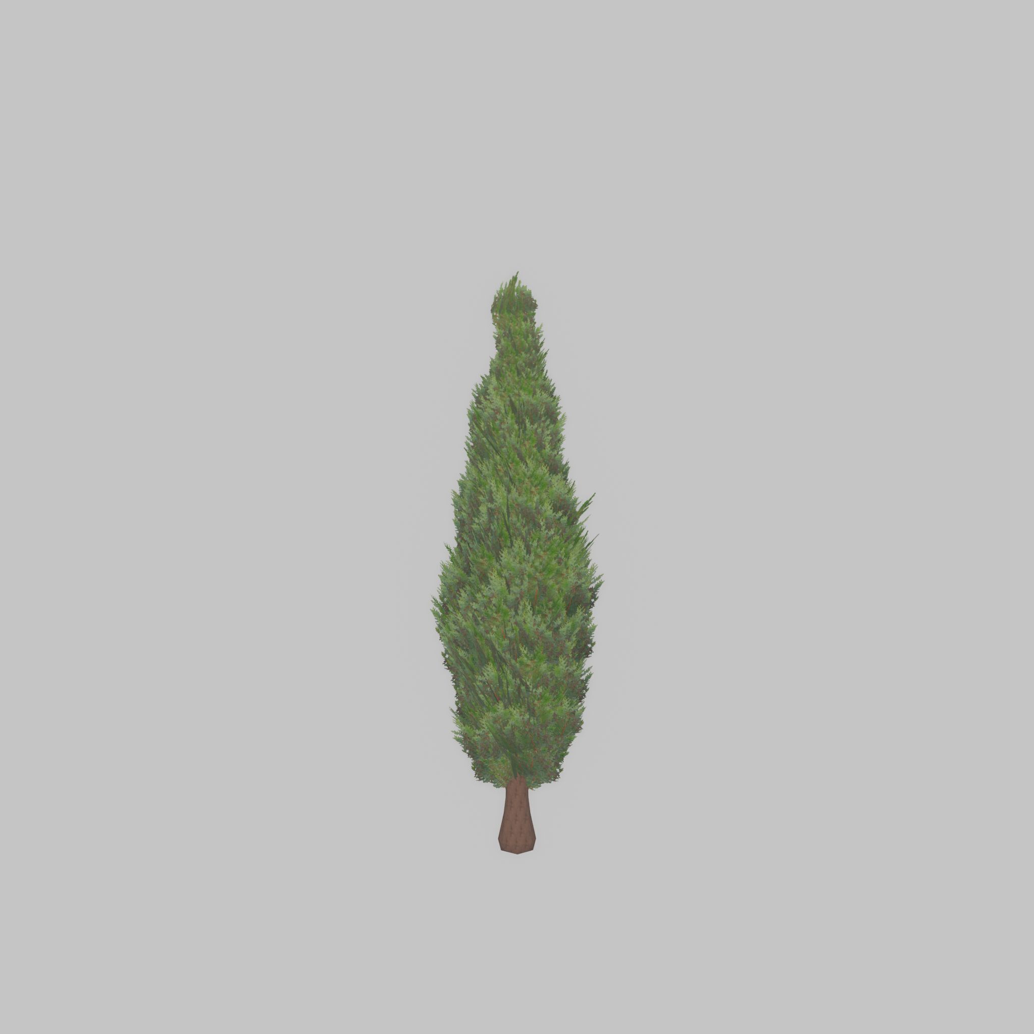 Mock cypress version-1 500mm Low-poly 3D model_21