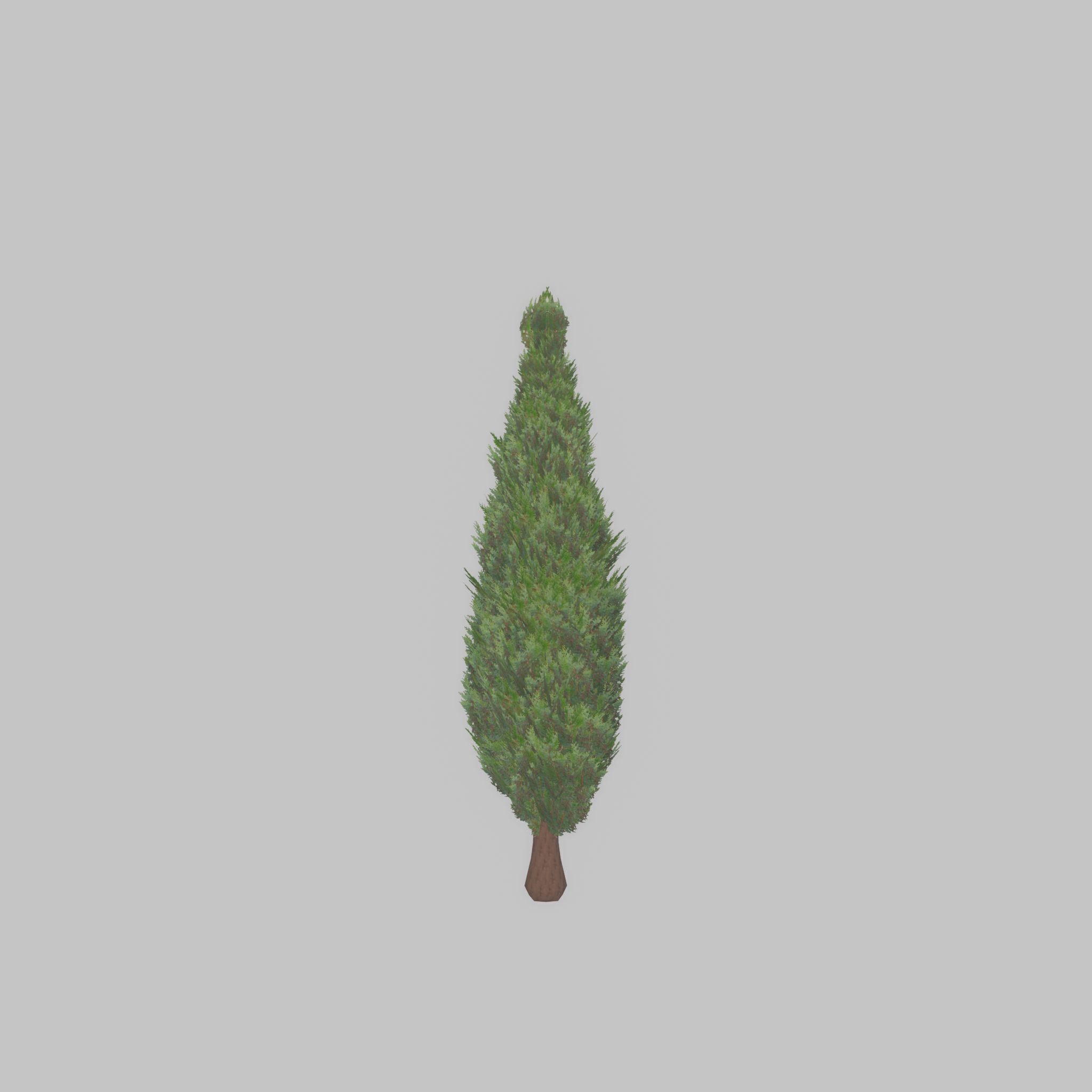 Mock cypress version-1 500mm Low-poly 3D model_40