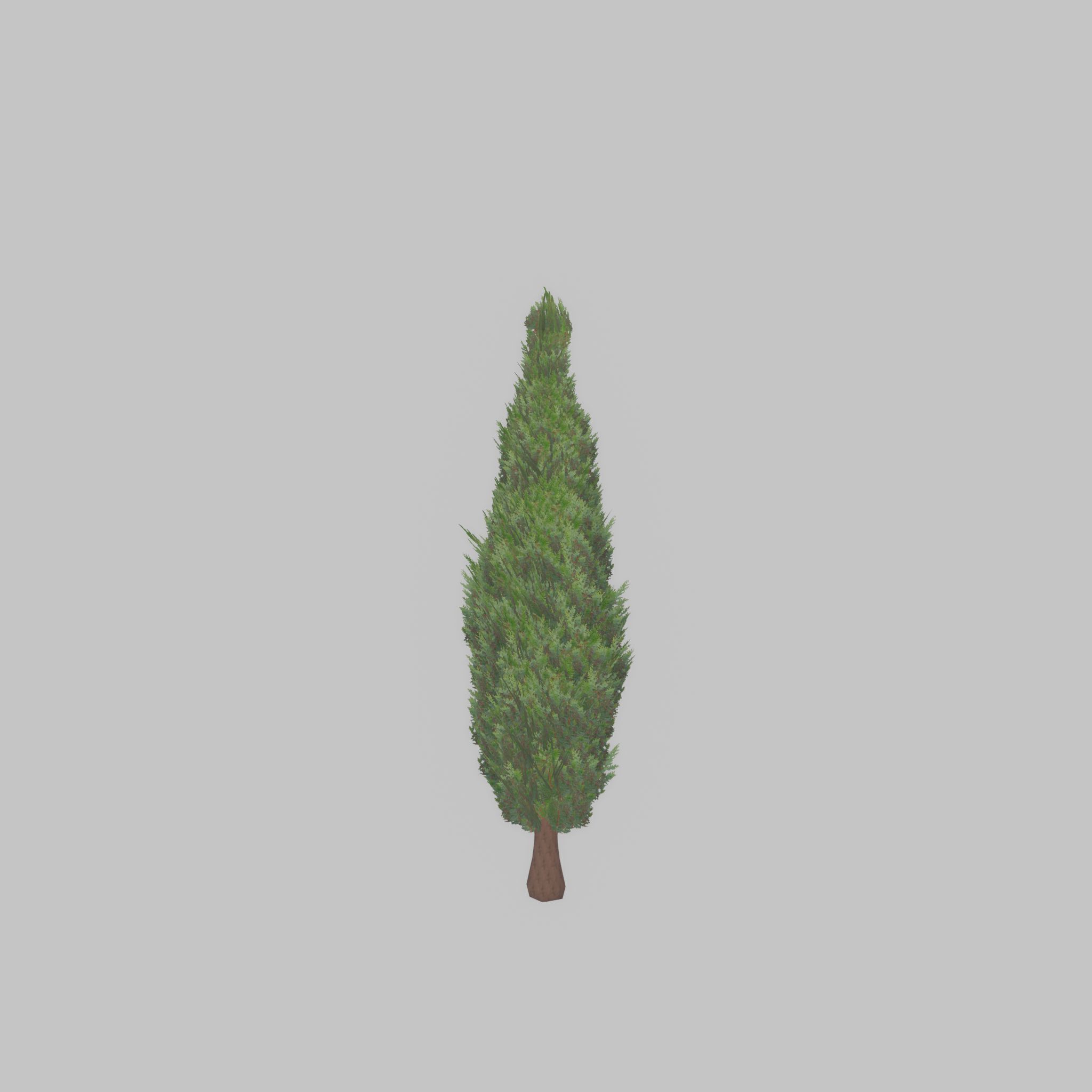 Mock cypress version-1 500mm Low-poly 3D model_26