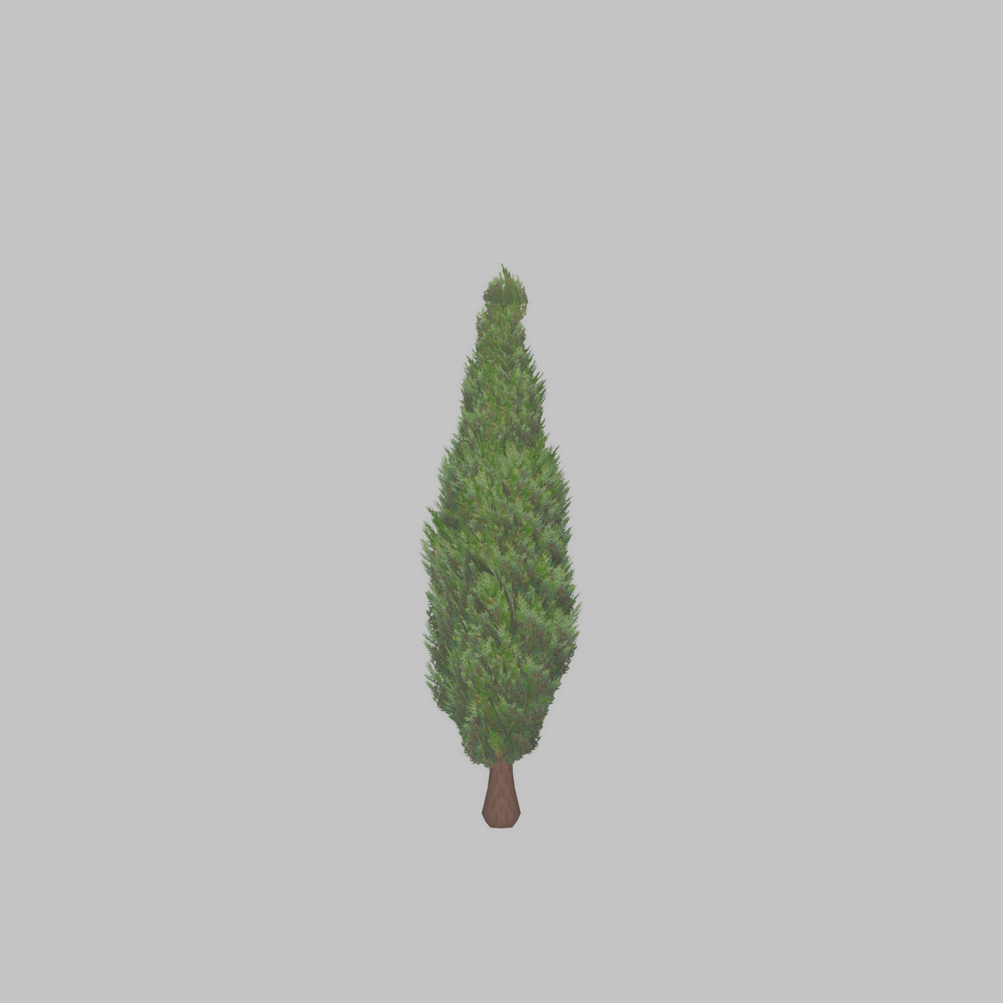Mock cypress version-1 500mm Low-poly 3D model_22