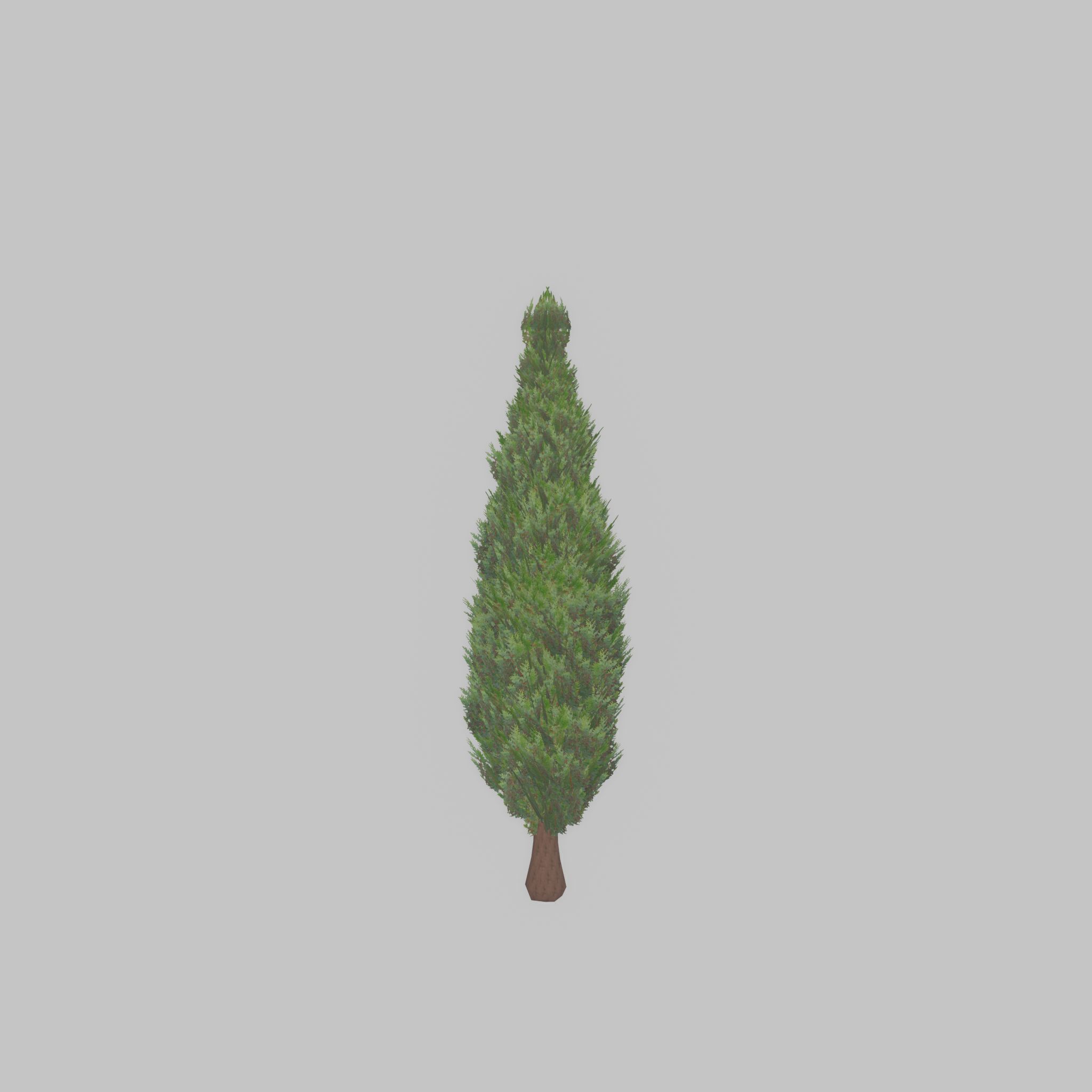 Mock cypress version-1 500mm Low-poly 3D model_41