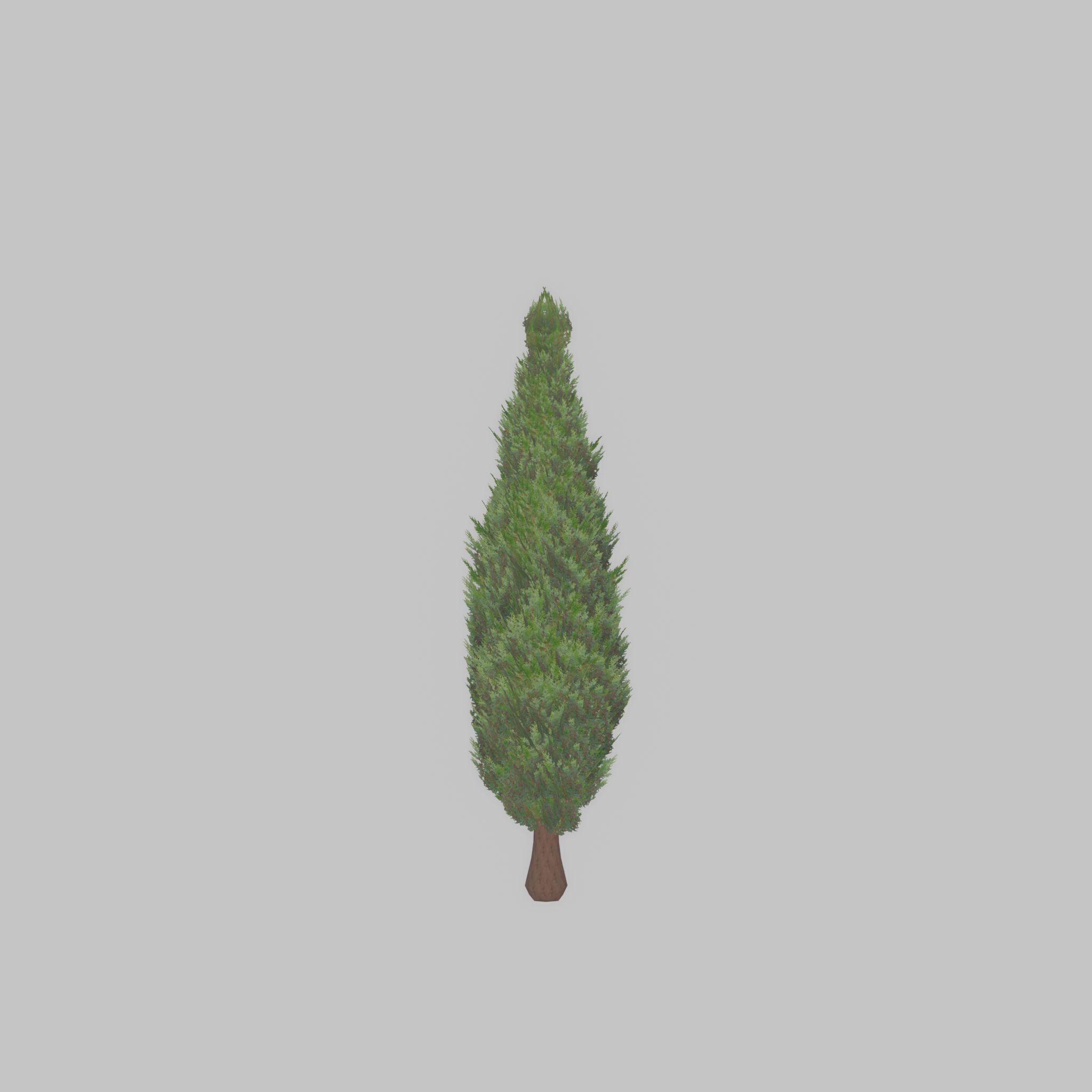 Mock cypress version-1 500mm Low-poly 3D model_28