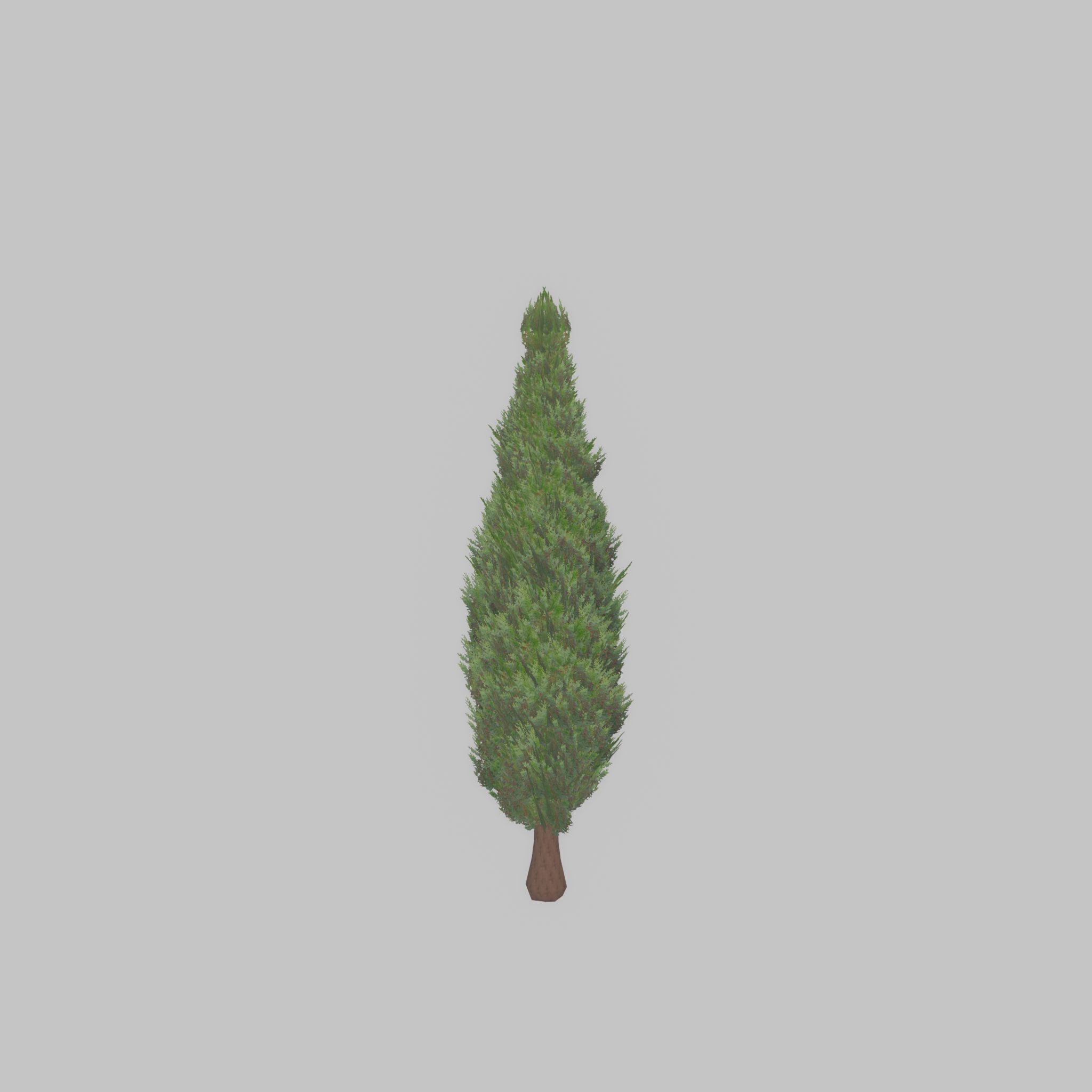 Mock cypress version-1 500mm Low-poly 3D model_29